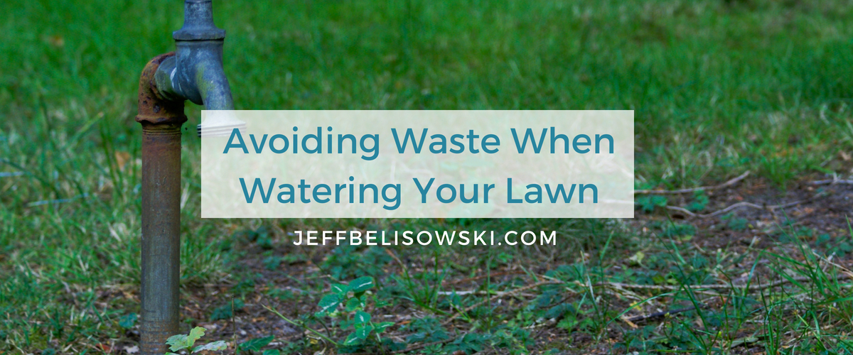 Avoiding Waste When Watering Your Lawn