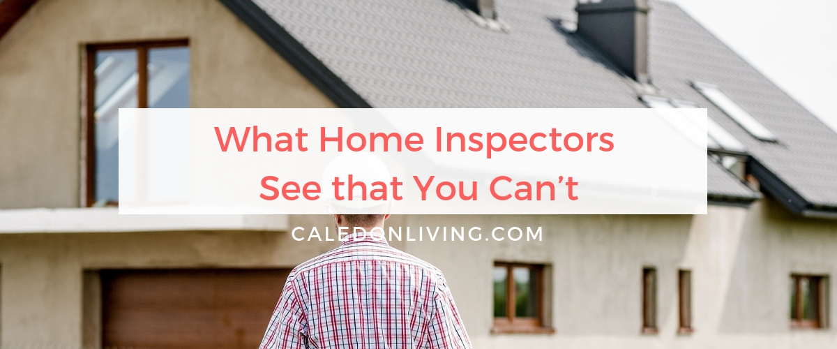 What Home Inspectors See that You Can’t