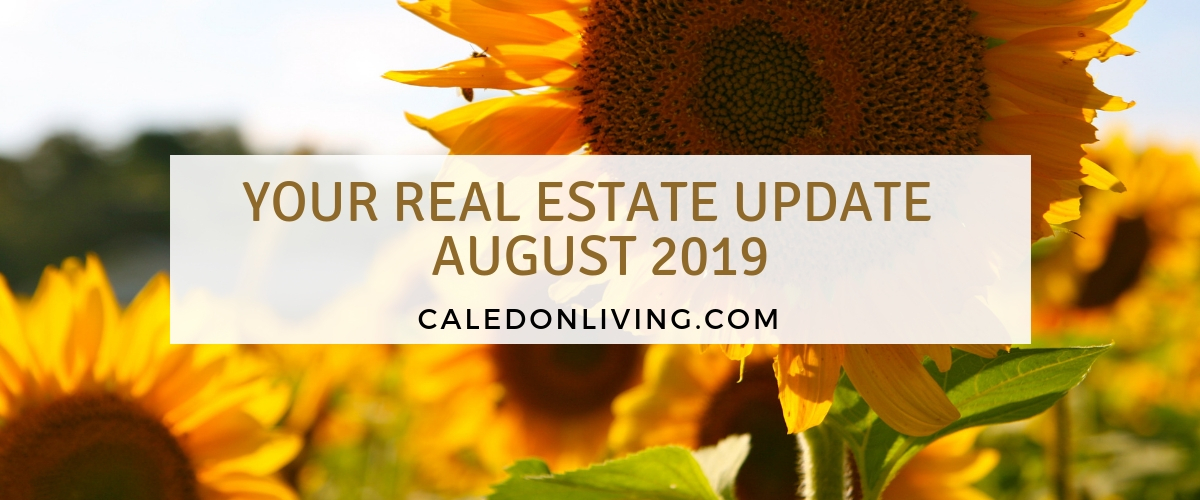 RLP - Jeff Belisowski - Blog Image - Real Estate Update - August 2019