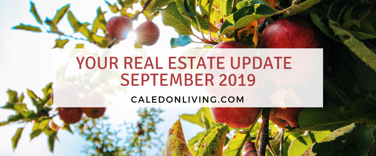 Real Estate Update – September 2019